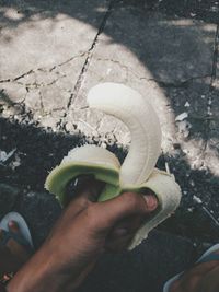 High angle view of person holding food