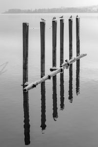 Wooden posts in sea against sky