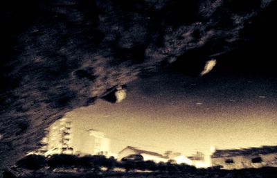 Low angle view of trees against sky at night