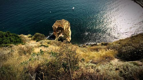 High angle view of rocks on beach