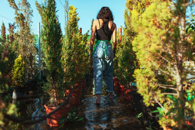 Rear view of woman standing amidst trees