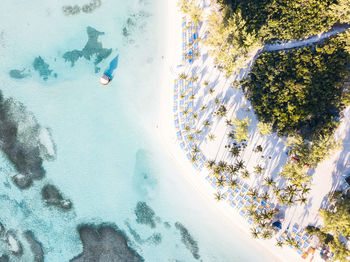 Low section of person in swimming pool against trees