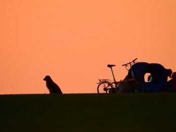 Silhouette birds against clear sky during sunset