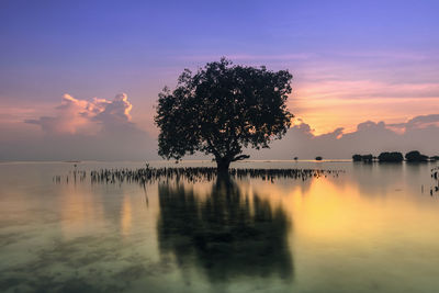 Scenic view of sea against sky at sunset