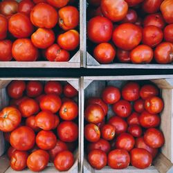 Crates of tomatoes