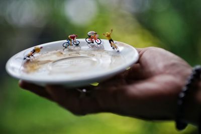 Close-up of hand holding leaf