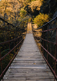 Footbridge amidst trees in forest