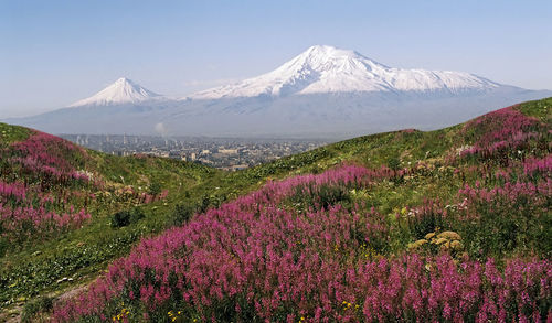 A beautiful view of mountain ararat during the day