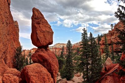 Trees on rocky landscape against clouds