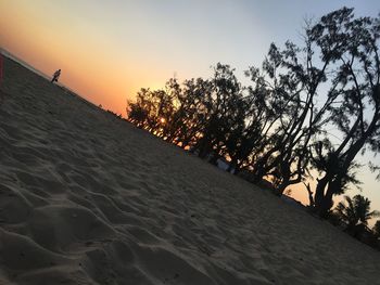 Silhouette trees on beach against sky during sunset