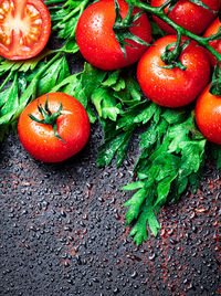 High angle view of tomatoes