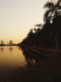 Scenic view of silhouette trees against clear sky during sunset