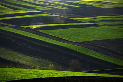 Scenic view of agriculture landscape