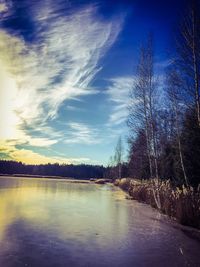 Scenic view of trees against sky