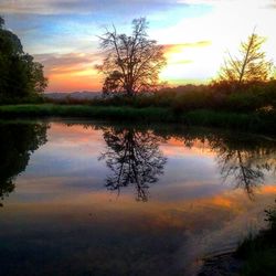 Scenic view of lake at sunset