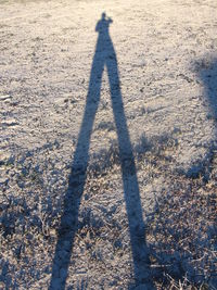 Shadow of people on wall