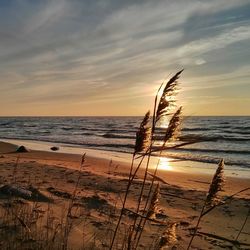 Scenic view of beach against sky during sunset