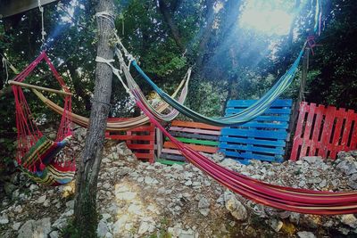 High angle view of multi colored bridge over trees in forest