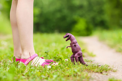 Little girl playing with the plastic dinosaur toy in spring park