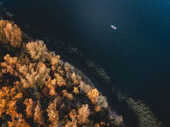 High angle view of trees by sea