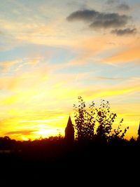 Silhouette of trees at sunset