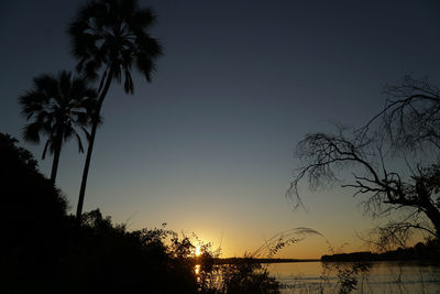 Silhouette palm trees against sky during sunset