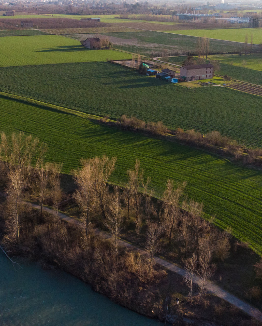 field, agriculture, landscape, rural scene, farm, nature, crop, tranquil scene, beauty in nature, tranquility, scenics, growth, grass, cultivated land, day, no people, outdoors, patchwork landscape, high angle view, green color, cereal plant, sky