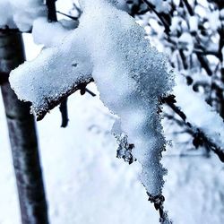 Close-up of ice crystals