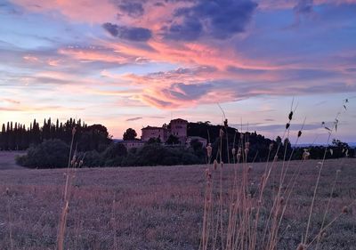 Scenic view of field against sky during sunset