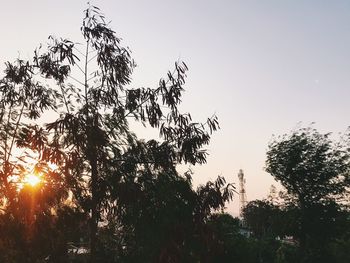 Low angle view of silhouette trees against sky during sunset