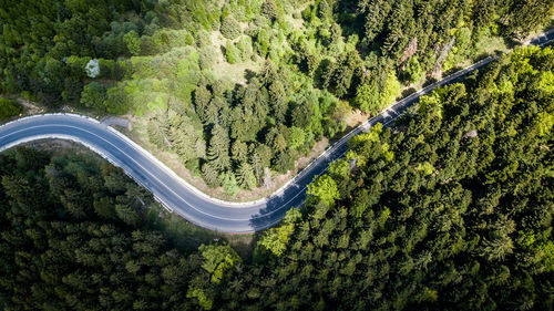 Aerial view of road amidst forest