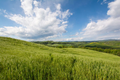 Scenic view of field against cloudy sky