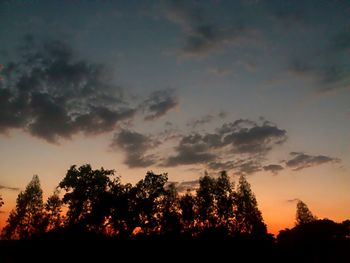 Silhouette of trees at sunset