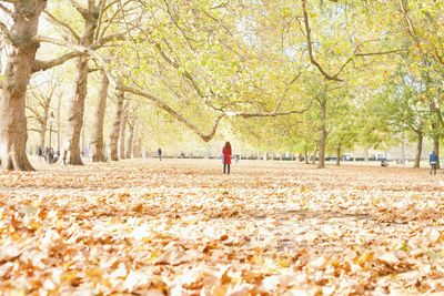 Woman standing on fallen leaves during autumn