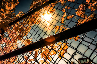 Low angle view of chainlink fence against sky during sunset