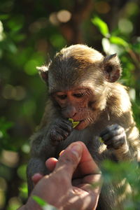 Close up of hand holding outdoors