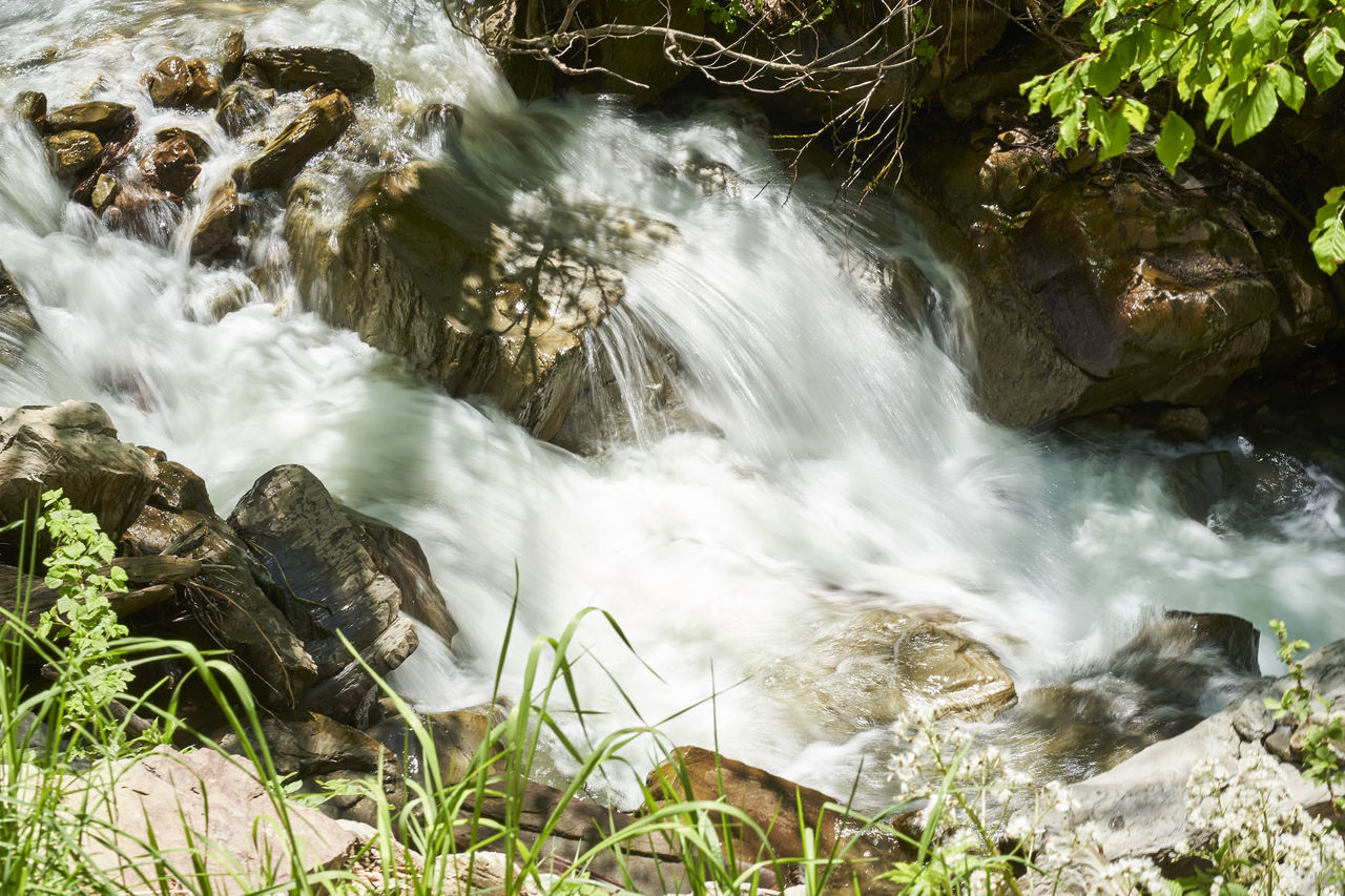 WATERFALL IN FOREST