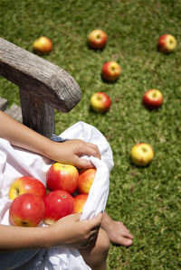 Person holding apple in field