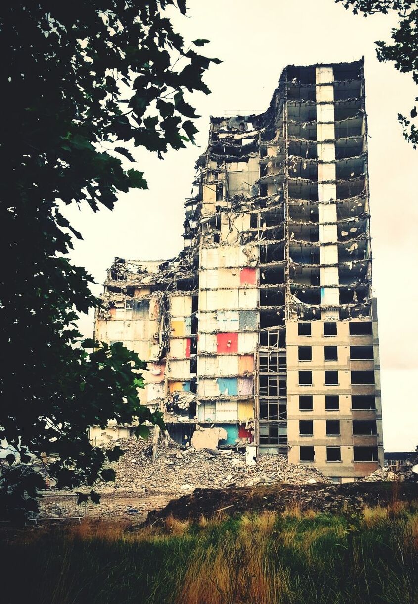 architecture, building exterior, built structure, tree, window, building, residential structure, clear sky, house, residential building, growth, abandoned, day, sky, plant, exterior, no people, outdoors, old, low angle view