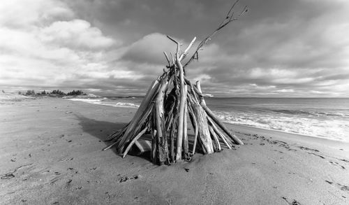 Driftwood on beach against sky