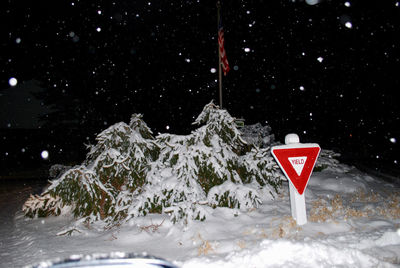 Road sign on snow covered tree against sky at night