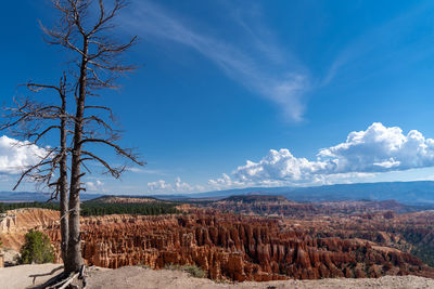 View of landscape against cloudy sky