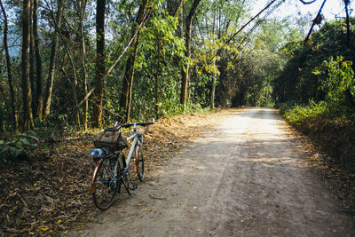 Bicycle in forest