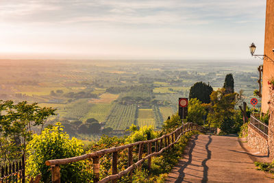 Scenic summer landscape