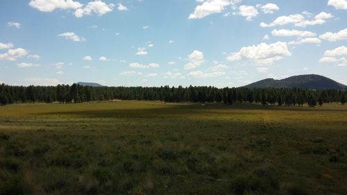 Scenic view of field against cloudy sky