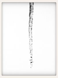 Close-up of paper over white background