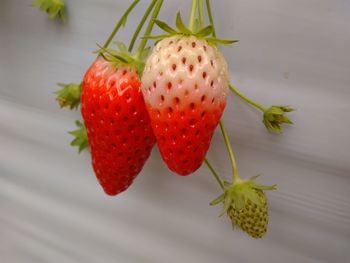 Close-up of strawberry growing on plant