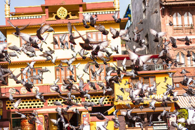 Group of people in street market