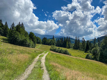 Road to the clouds