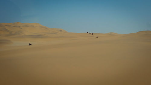 Große sand düne in namibia. ganz klein ein paar menschen darauf.